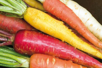 Top 5 loại rau củ cầu vồng nên trồng cho vườn thêm xinh