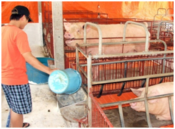 Hạn chế kháng sinh thế nào?