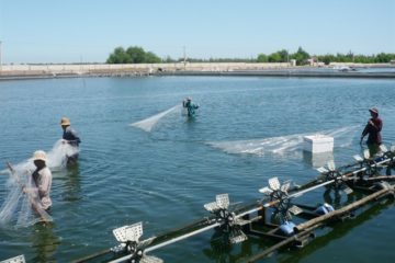 THÔNG TIN VỀ MÔI TRƯỜNG THỦY SẢN, CÁC CẢNH BÁO VÀ KHUYẾN CÁO THÁNG 12/2019