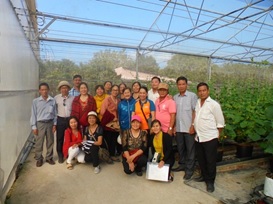 Tham quan mô hình trồng rau công nghệ cao