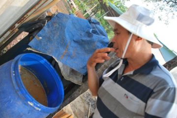 PHÒNG TRỪ SÂU BỆNH BẰNG… RAU CỦ QUẢ