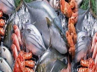 Quy định về yêu cầu kỹ thuật kiểm nghiệm hóa chất, kháng sinh cấm trong thực phẩm thủy sản do Bộ nông nghiệp và Phát triển nông thôn ban hành