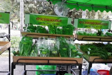 TP.HCM: có 40 doanh nghiệp nông nghiệp được thành lập mới  trong 3 tháng đầu năm 2020