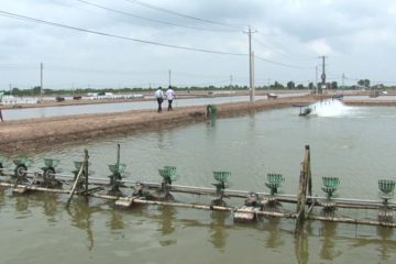 THÔNG TIN VỀ MÔI TRƯỜNG THỦY SẢN, CÁC CẢNH BÁO VÀ KHUYẾN CÁO THÁNG 03/2020