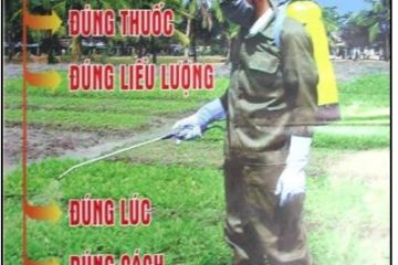 Tình hình sinh vật hại cây trồng đến ngày 03/3/2020  và dự báo tình hình sinh vật hại cây trồng đến ngày 10/3/2020