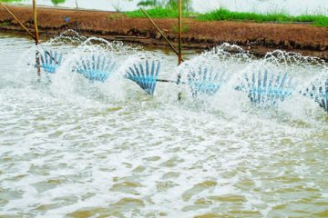 THÔNG TIN VỀ MÔI TRƯỜNG THỦY SẢN, CÁC CẢNH BÁO VÀ KHUYẾN CÁO THÁNG 4/2020