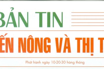 Bản tin Thông tin thị trường số 10/2020