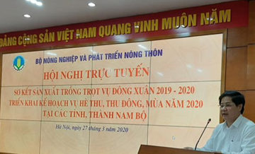 Kết luận của Thứ trưởng Lê Quốc Doanh tại Hội nghị trực tuyến Sơ kết sản xuất trồng trọt vụ Đông Xuân 2019-2020 và triển khai kế hoạch vụ Hè Thu, Thu Đông, Mùa năm 2020 tại các tỉnh, thành Đông Nam Bộ và Đồng bằng sông Cửu Long