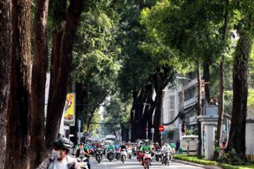 Khuyến nông thực hiện chủ đề năm 2020 “Năm đẩy mạnh hoạt động văn hóa và xây dựng nếp sống văn minh đô thị”   