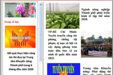 Thông tin thị trường số 16-2020