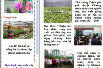 Thông tin Khuyến nông và Thị trường số 19