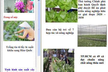 Thông tin Khuyến nông và Thị trường số 20