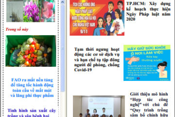 Thông tin Thị trường số 22