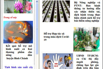 Bản tin Thông tin Thị trường số 23