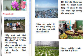 Bản tin Thông tin Thị trường số 25