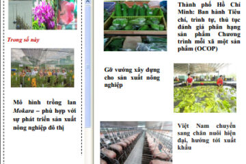 Bản tin Thông tin Thị trường số 26