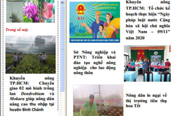 Bản tin Thông tin Khuyến nông thị trường số 27