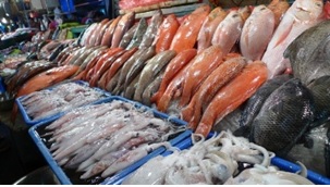 Bộ Nông nghiệp và PTNT: bàn hành Quyết định  về việc chỉ định tổ chức chứng nhận
