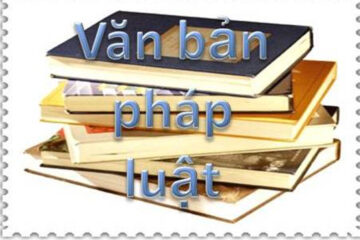 Ủy ban Nhân dân TP.HCM ban hành: Quyết định bãi bỏ văn bản quy phạm pháp luật về tuyển dụng công chức, viên chức và xếp lương khi bổ nhiệm ngạch