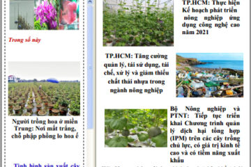 Bản tin Khuyến nông và Thị trường
