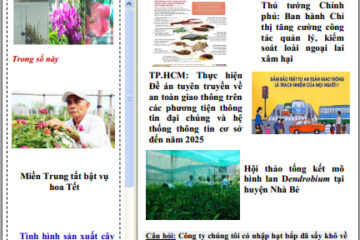 Thông tin và Thị trường số 35