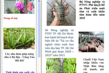 Bản tin Khuyến nông và Thị trường số 33