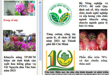 Bản tin Thông tin Khuyến nông và Thị trường