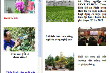 Bản tin Thông tin và Thị trường số 36