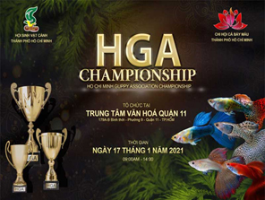 TP.HCM: Tổ chức Cuộc thi cá Bảy Màu