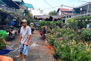Bình quân đất nông nghiệp TPHCM giảm khoảng 500 đến 1000 hecta mỗi năm