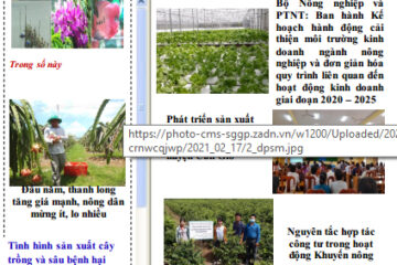 Bản tin Thông tin Khuyến nông và Thị trường