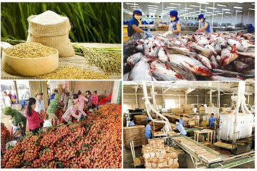 Chính phủ phê duyệt Đề án thúc đẩy xuất khẩu nông lâm thủy sản đến năm 2030