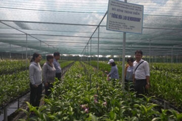 TPHCM: Ban hành Quyết định định mức kinh tế kỹ thuật về khuyến nông