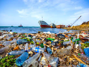 Quản lý rác thải nhựa đại dương ngành Thủy sản, giai đoạn 2020-2030   