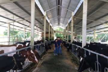 Định mức kinh tế kỹ thuật về mô hình cơ giới hóa trong chăn nuôi bò sữa