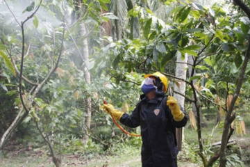 An toàn sử dụng Thuốc Bảo vệ thực vật