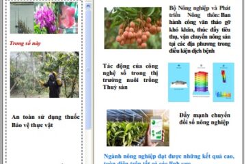 Bản tin Thông tin Khuyến nông và thị trường số 19