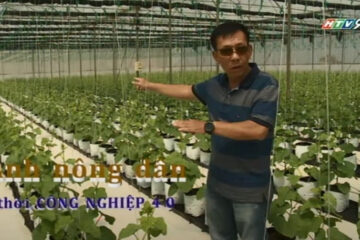 Anh nông dân thời Công nghiệp 4.0