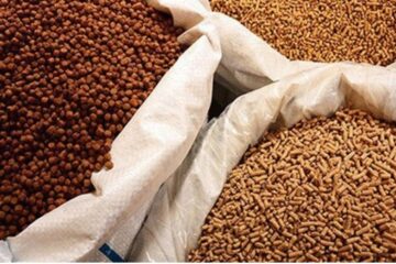 Bộ Nông nghiệp và PTNT: Ban hành Thông tư Sửa đổi 1:2021 QCVN 01-190:2020/BNNPTNT quy chuẩn kỹ thuật quốc gia về thức ăn chăn nuôi – hàm lượng tối đa cho phép các chỉ tiêu an toàn trong thức ăn chăn nuôi và nguyên liệu sản xuất thức ăn thủy sản.