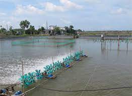 Chi cục thủy sản Thành phố Hồ Chí Minh: Thông tin về môi trường thủy sản, các cảnh báo và khuyến cáo tháng 7/2021   