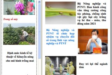 Bản tin Thông tin Khuyến nông và Thị trường số 23