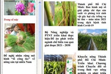 Bản tin Khuyến nông và Thị trường số 24