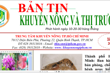 Bản tin Khuyến nông và Thị trường số 25 tháng 09 năm 2021