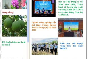 Bản tin Thông tin Khuyến nông và Thị trường số 28
