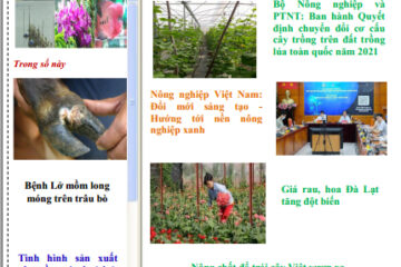 Bản tin Thông tin Khuyến nông và Thị trường