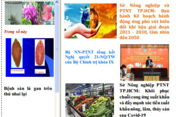 Bản tin Thông tin Khuyến nông và Thị trường số 31