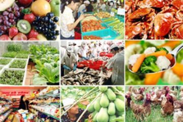 Bộ Nông nghiệp và PTNT: Ban hành Thông tư Danh mục sản phẩm, hàng hóa có khả năng gây mất an toàn thuộc trách nhiệm quản lý của Bộ Nông nghiệp và Phát triển nông thôn
