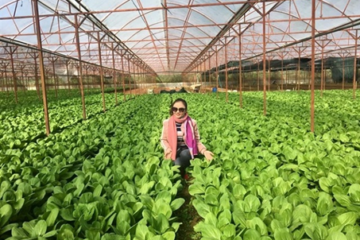 Sở Nông nghiệp và Phát triển nông thôn TP.HCM: Triển khai Đề án phát triển nông nghiệp hữu cơ năm 2022