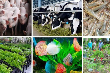 Kết quả sản xuất nông nghiệp Thành phố trong tháng 4 và 4 tháng đầu năm 2022