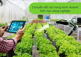 Quyết định thực hiện Kế hoạch chuyển đổi số ngành Nông nghiệp và PTNT giai đoạn 2022-2025